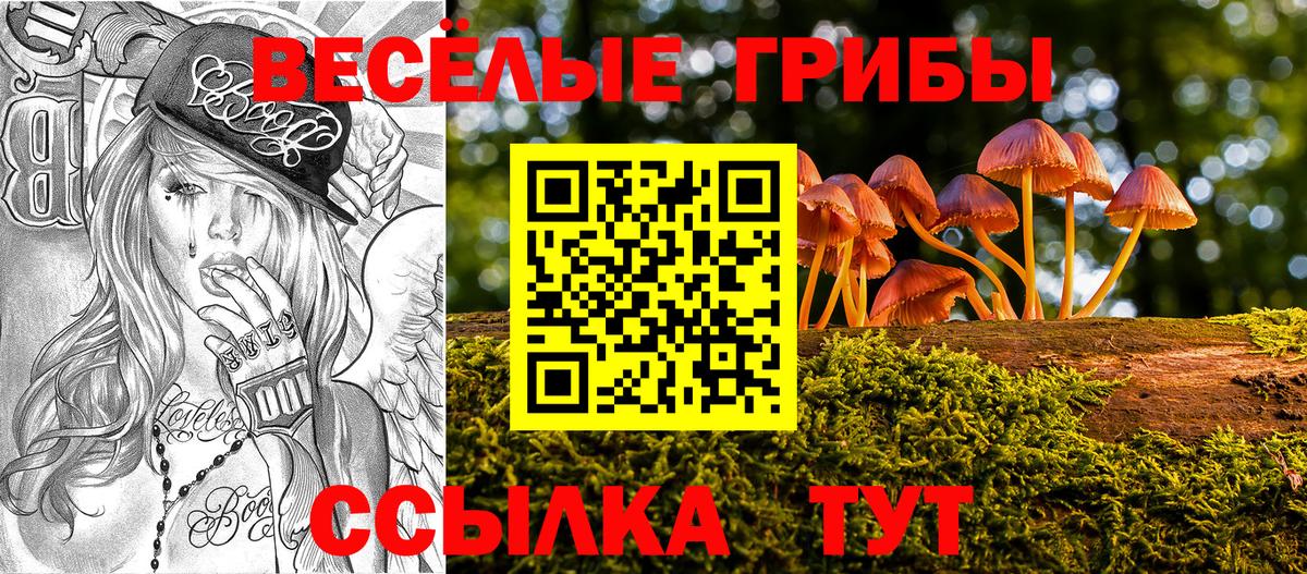 Чистополь  Галлюциногенные грибы прущие грибы  Вход с VPN 